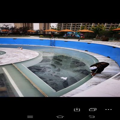 Parede transparente transparente infinita acrílica piscina de poliéster para diversão em família