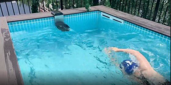 Painel acrílico personalizado Espessura de fibra de carbono vidro pátio traseiro piscina subterrânea