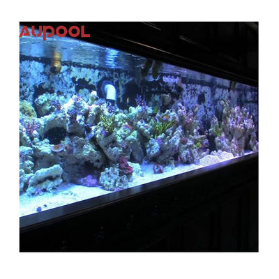 60Mm 80Mm piscina acrílica clara com parede acrílica piscina com água cristalina