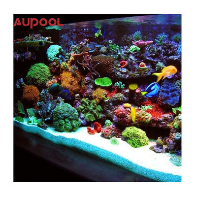 60Mm 80Mm piscina acrílica clara com parede acrílica piscina com água cristalina