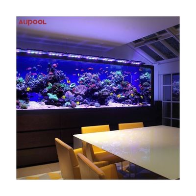 Piscina exterior e de mergulho com acrílico 100% puro de Lucite por Sublue Dive Pools